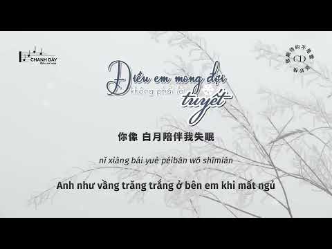 What I expected was not snow - Zhang miao ge ( Cover )