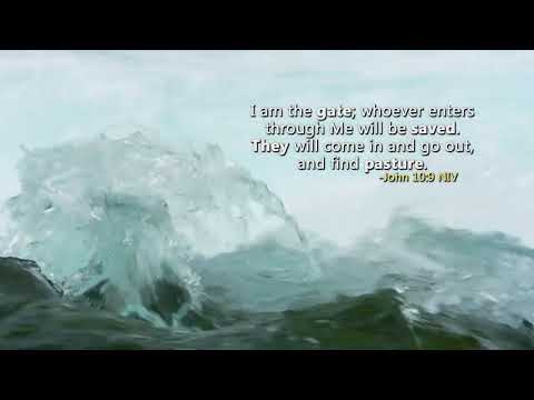 Find Rest in Worship // Reflections Daystar