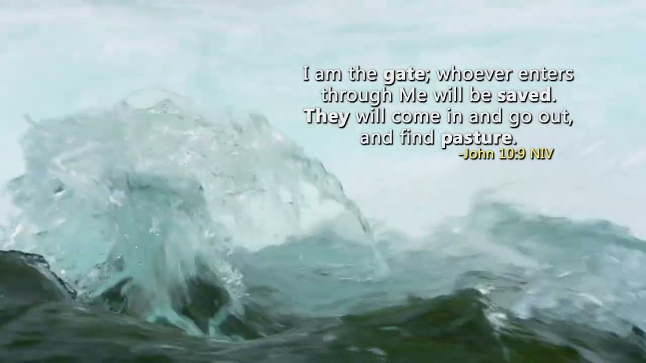 Find Rest in Worship // Reflections Daystar