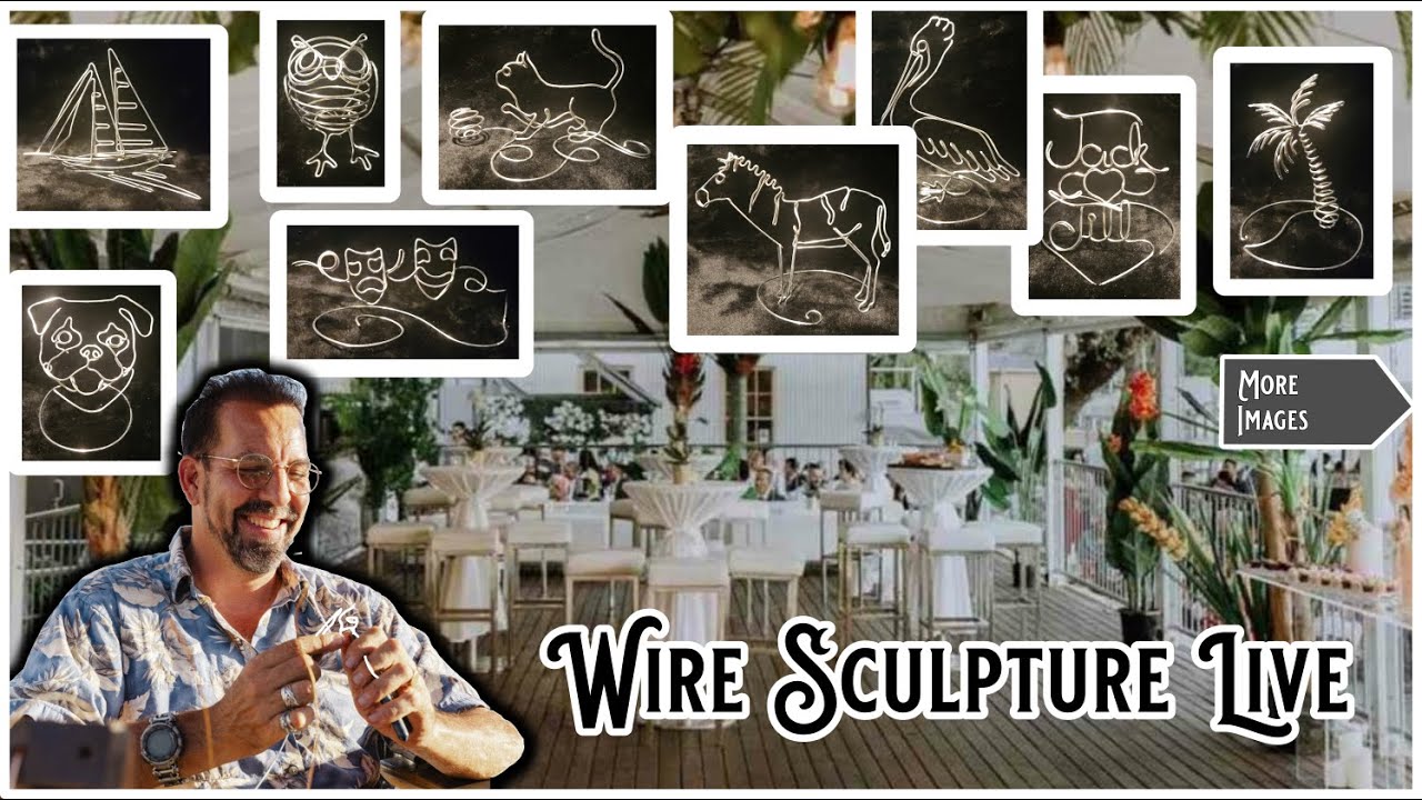 Promotional video thumbnail 1 for Wire Sculpture Live