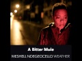 Meshell Ndegeocello - Weather (Album) - A Bitter Mule