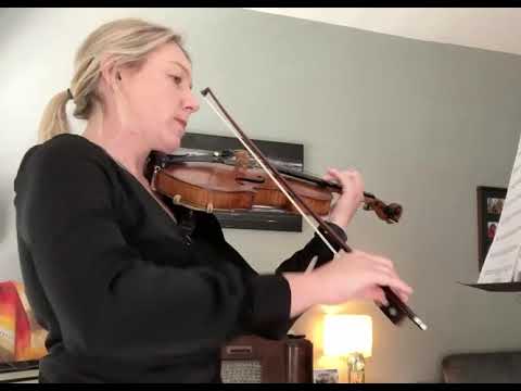 Promotional video thumbnail 2 for Paradise Strings