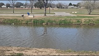 Catching Catfish Candy with a Cast net