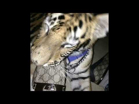 *Free* Hwii x 1millionUSD x Plugg Type beat "idk" (Prod.Yung norjak)