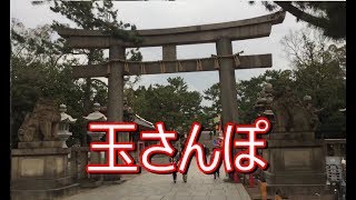 いざたまへ！　初詣 in 住吉大社
