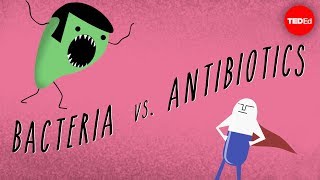 What causes antibiotic resistance? - Kevin Wu