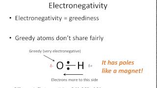 How To Tell if a Bond is Polar or Nonpolar (the super easy way)