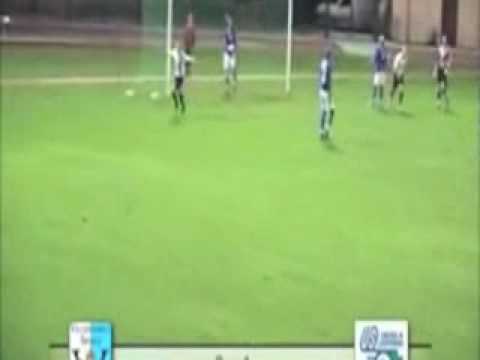 but de Adlène Guedioura (algerie) vs Villemomble Sports 19-01-2008.flv