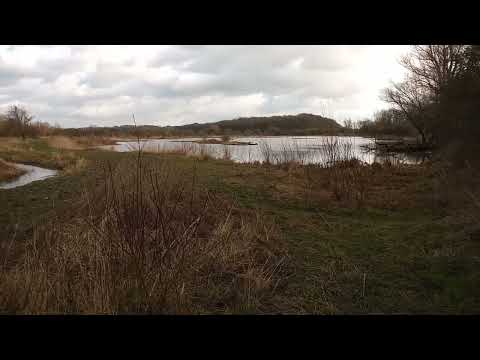 Jufferswaard langs de Rijn bij Renkum