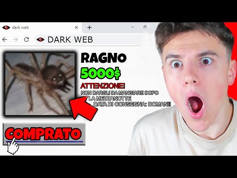 Mate and Mate Horror