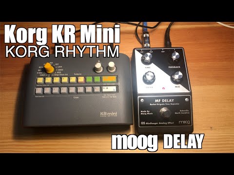 Korg KR Mini Drum Machine and  Moog Delay Patterns