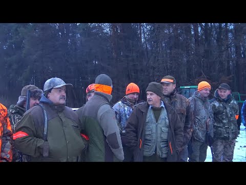 Collective hunting for wild boars and foxes, Hunting Club No. 16 "Szarak" in Krasnystaw, 27/01/24