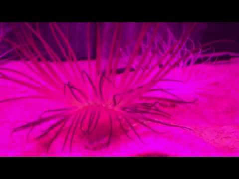 会計学科 水族館 木村勝則滋賀県高島市！