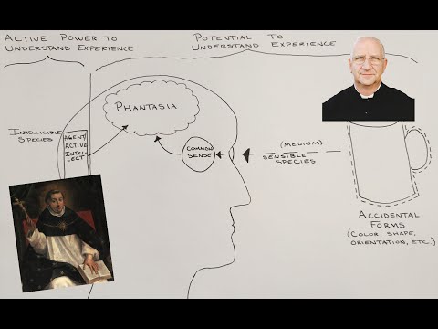 What is Formation & What are Problems in Today's Formation ~ Fr. Ripperger