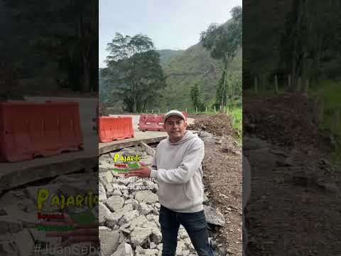 Pavimento levantado (vía Labranzagrande - Yopal)(Oct. 13/2026)