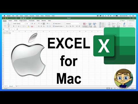 Beginner's Guide to Excel for Mac