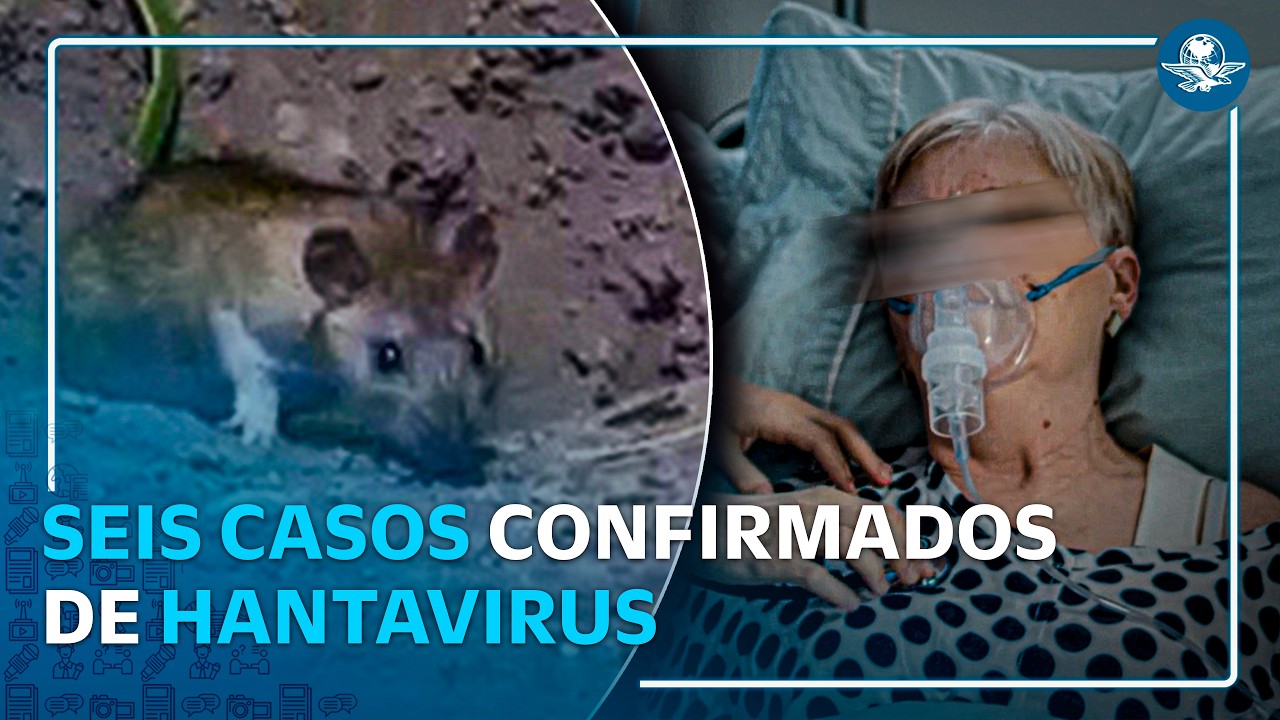 Suben a seis los casos de hantavirus; OMS confirma nuevo caso en crucero del Atlántico
