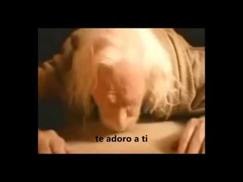 download lagu mp3 mp4 Lugar Santo, download lagu Lugar Santo gratis, unduh video klip Lugar Santo
