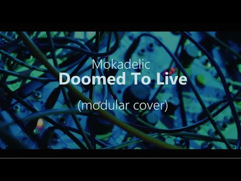 Mokadelic - Domed to live (Modular Cover) Gomorra Soundtrack