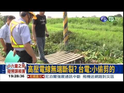 高壓電線從天降 老婦電死!