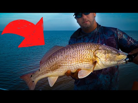 Catching BIG Texas Redfish - Redfish School Fishing - Texas Bayfishing - How to Catch Redfish