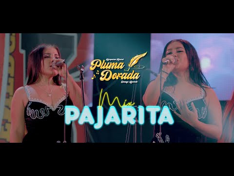 Mix Pajarita - Agrupación Pluma Dorada (En vivo En Lima 2024) | XTREM MASTER