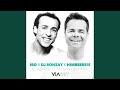 Ibo, DJ Bonzay & HimbeerE!s - Bungalow in Santa Nirgendwo (VIA Sounds Remix) (German Version - 2026)