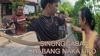 KINGCOBRA SA  KALDERO AT MGA COBRA SA LIKOD NG GASULINAHAN