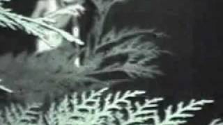 Your Possible Pasts- Paranormal Pics