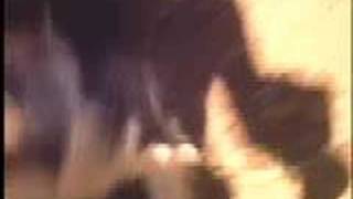 Dog runs to Otis Redding