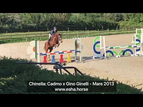 Chinella: CADMO x GINO GINELLI