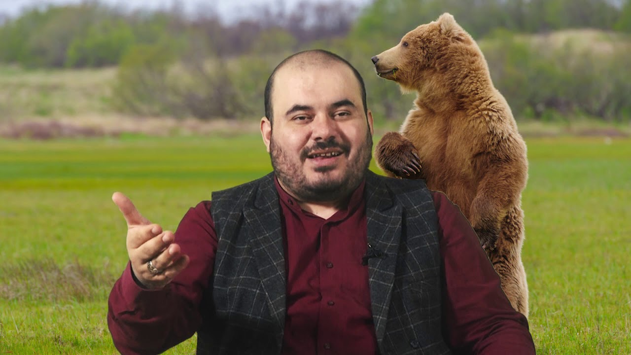 RÜYADA AYI GÖRMEK Esved Dini Rüya Tabirleri ve Yorumu Rüya Tabiri