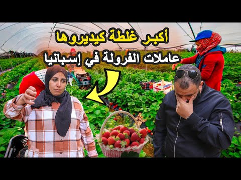 أكبر غلطة فحياتي ملي جيت نخدم فالفراولة في إسبانيا مشاتلي صحتي وجاتني جلطة دماغية 😢