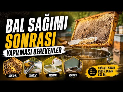 Bal Sağımı