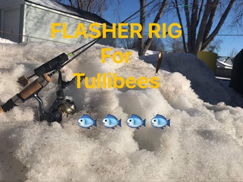 Flasher Rig for Mille Lacs Tullibees With Livescope