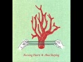 Burning Hearts - Iris 