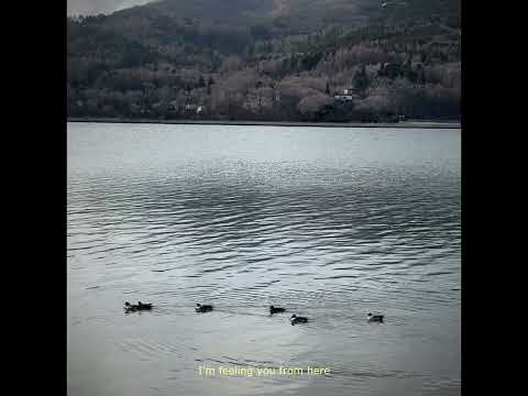 BEWV - Mercury Boy (official lyric video)