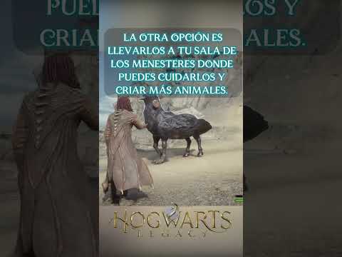 ¿Quieres darle un toque Pokémon a Hogwarts Legacy? Con este mod ahora podrás luchar junto a tus mas