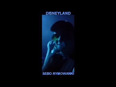 sebo rymowanki - disneyland 🏰🏰🏰