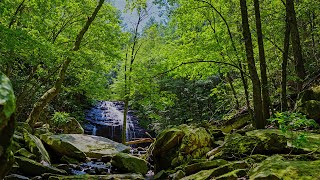 ВОССТАНОВЛЕНИЕ НЕРВНОЙ СИСТЕМЫ🌿 Музыка для глубокой души🌿 Музыка, что лечит🌿 Слушай и чувствуй