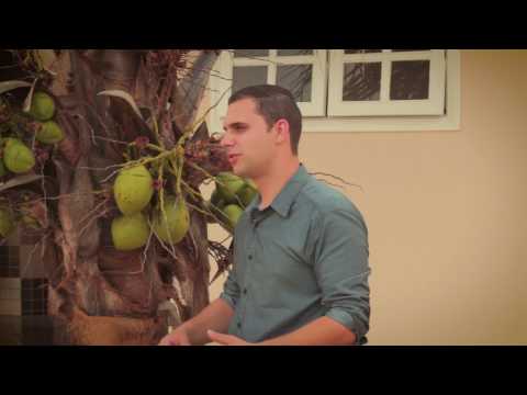 Meu Coqueiro video