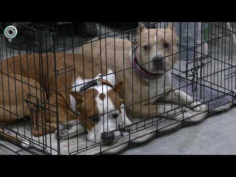 НОВОСТИ УТРА – 27 марта 2026