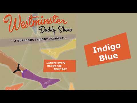 Westminster Daddy Show — Miss Indigo Blue