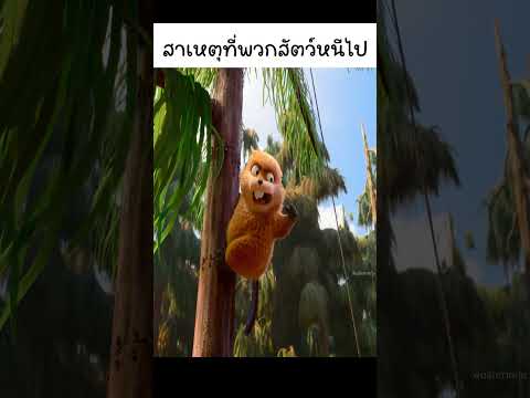 สาเหตุที่พวกสัตว์หนีไป
