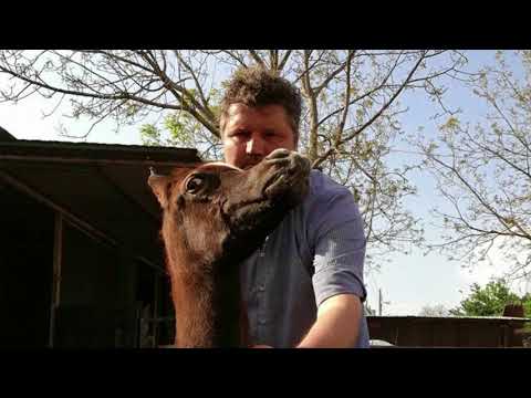 Che fine hanno fatto, Soviero e la passione per i cavalli