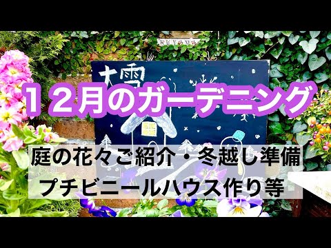 , title : '【ガーデニングを楽しもう！】12月に咲く花々のご紹介・冬越しの準備・ユーフォルビアの水挿し・プチビニールハウス作りなど・・・１２月のガーデニング作業動画です。Let's enjoy Gardening'