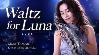 Download lagu 月下のジャズバラード 🌙 | ルナのためのワルツ(ライブ) mp3 Download lagu 月下のジャズバラード 🌙 | ルナのためのワルツ(ライブ) mp3