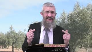 מסכת מנחות דף צ - 8 דקות של לומדות ועמקות בדרך הלימוד הישיבתית [Menachot 90]