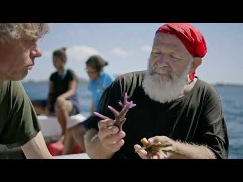 Land unter: Pazifikinseln (Langfassung) Doku (2022)
