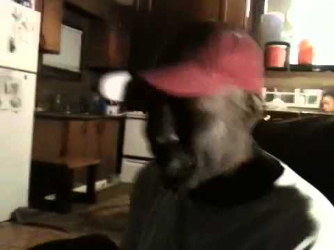 Earl the squirrel freestyle ft kangnolia
